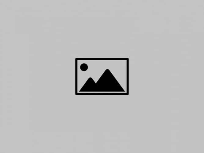 Required Category Test logo